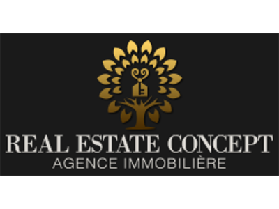 REAL ESTATE CONCEPT